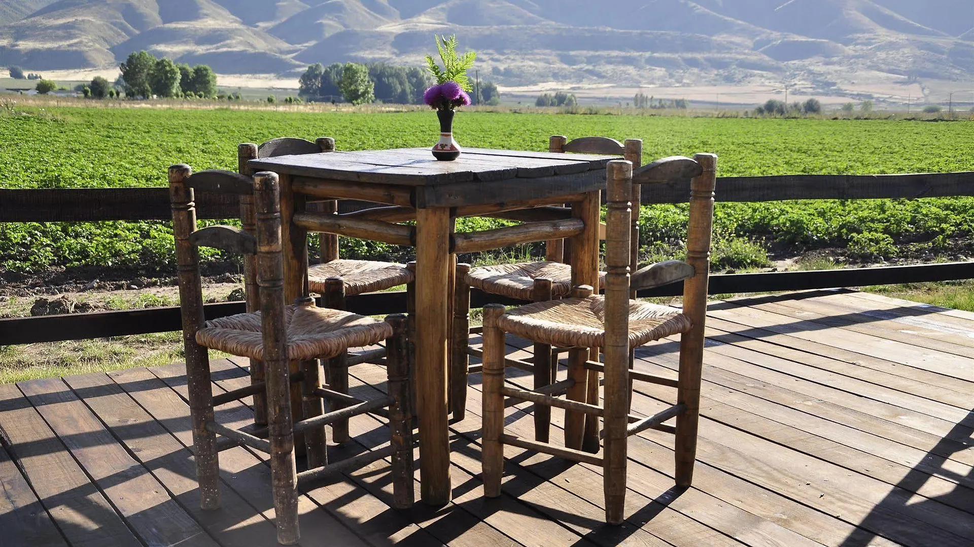 Estancia La Alejandra Mendoza Country house